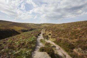 haworth moor september route to top withens 2012 sm.jpg